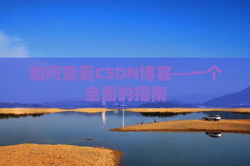 如何查看CSDN博客—一个全面的指南